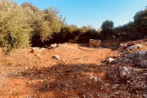 Helårsgrund i Comares, Malaga, Comares - € 25.000 | Ref: ID3898 - foto 1
